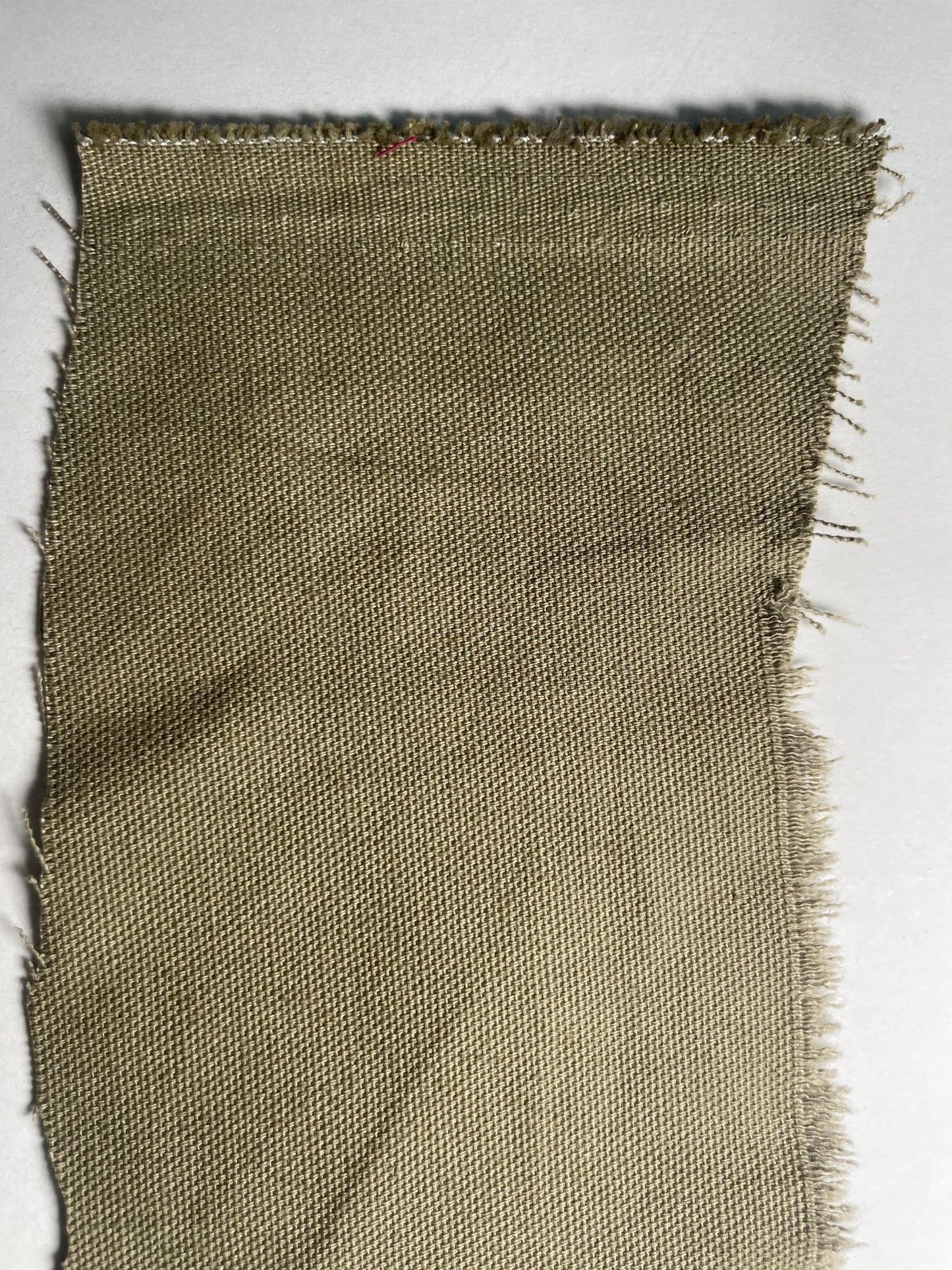 Olive Tinted Beige Cotton Duck Canvas "Arizona Tan"